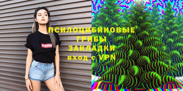гашик Белокуриха