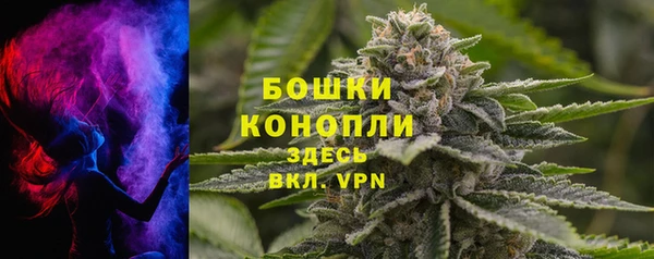 гашик Белокуриха