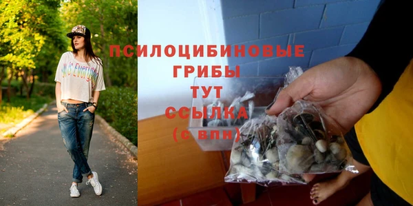 a pvp Верея