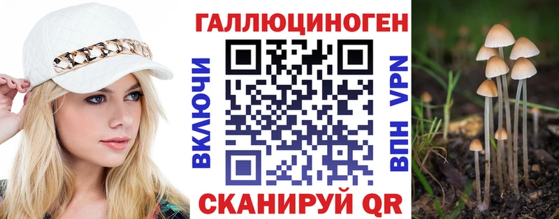 Купить где  Ленинск  Галлюциногенные грибы MAGIC MUSHROOMS 